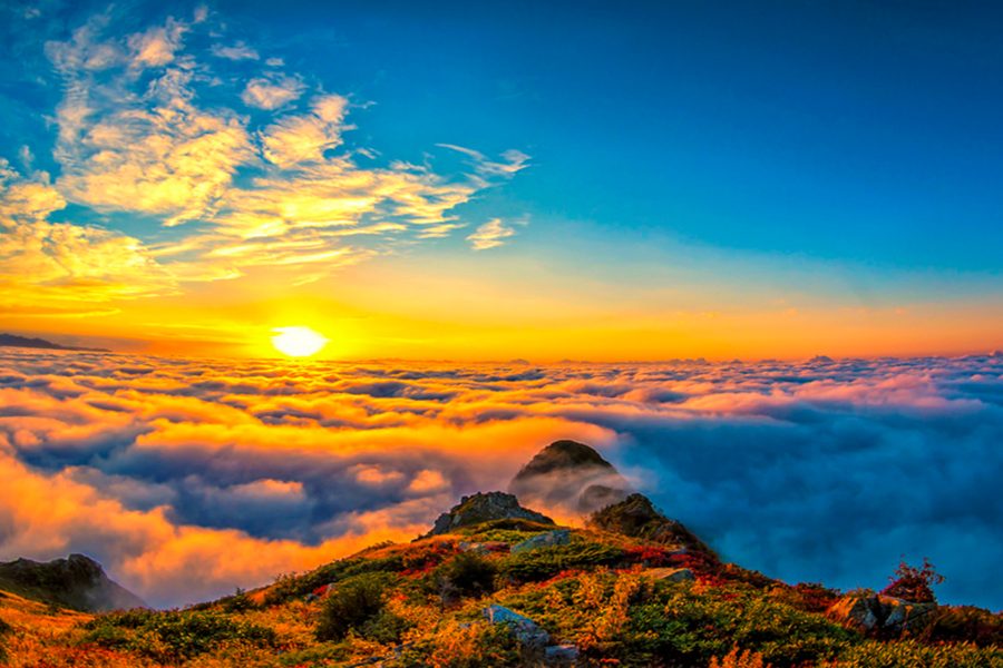 Günübirlik Yayla Turu | Doğa & Eğlence Dolu Rota